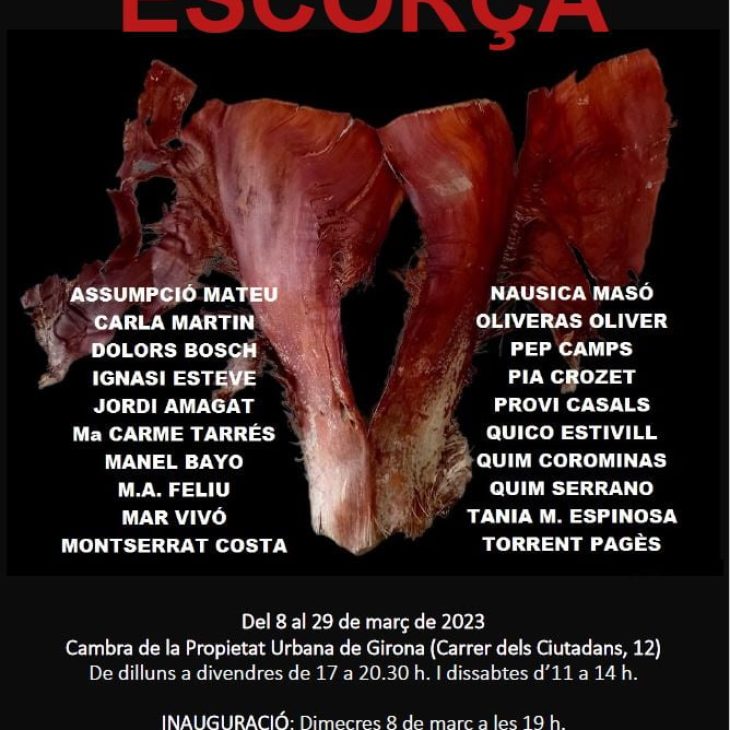 Girona Exposició Família Donato