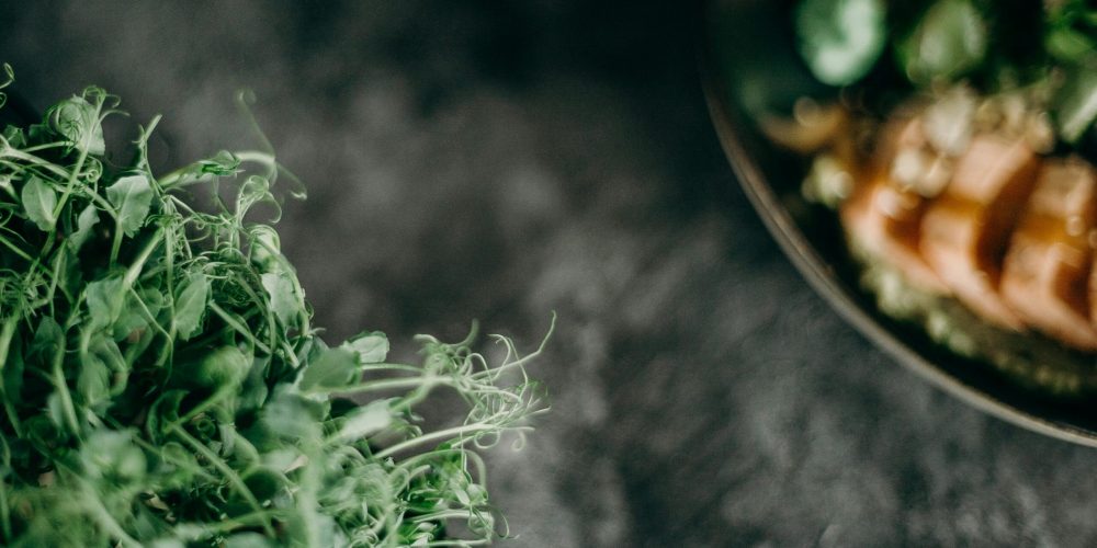 Restaurants Sostenibles, tota una tendència