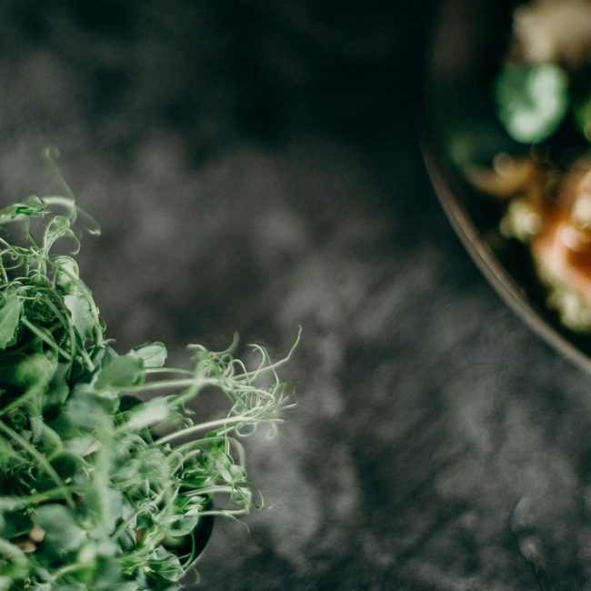 Restaurants Sostenibles, tota una tendència
