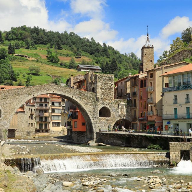 Rius de Girona vida i patrimoni natural
